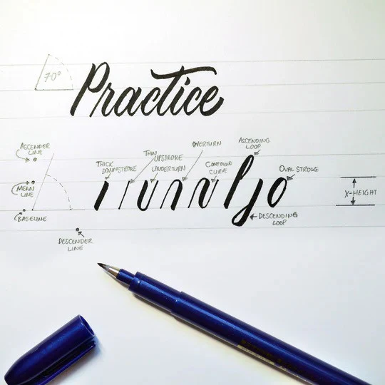 Brush Pen Zebra Zensations | Medium - Image 4