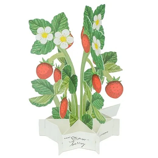Kartka okolicznościowa 3D Blooming | Truskawki