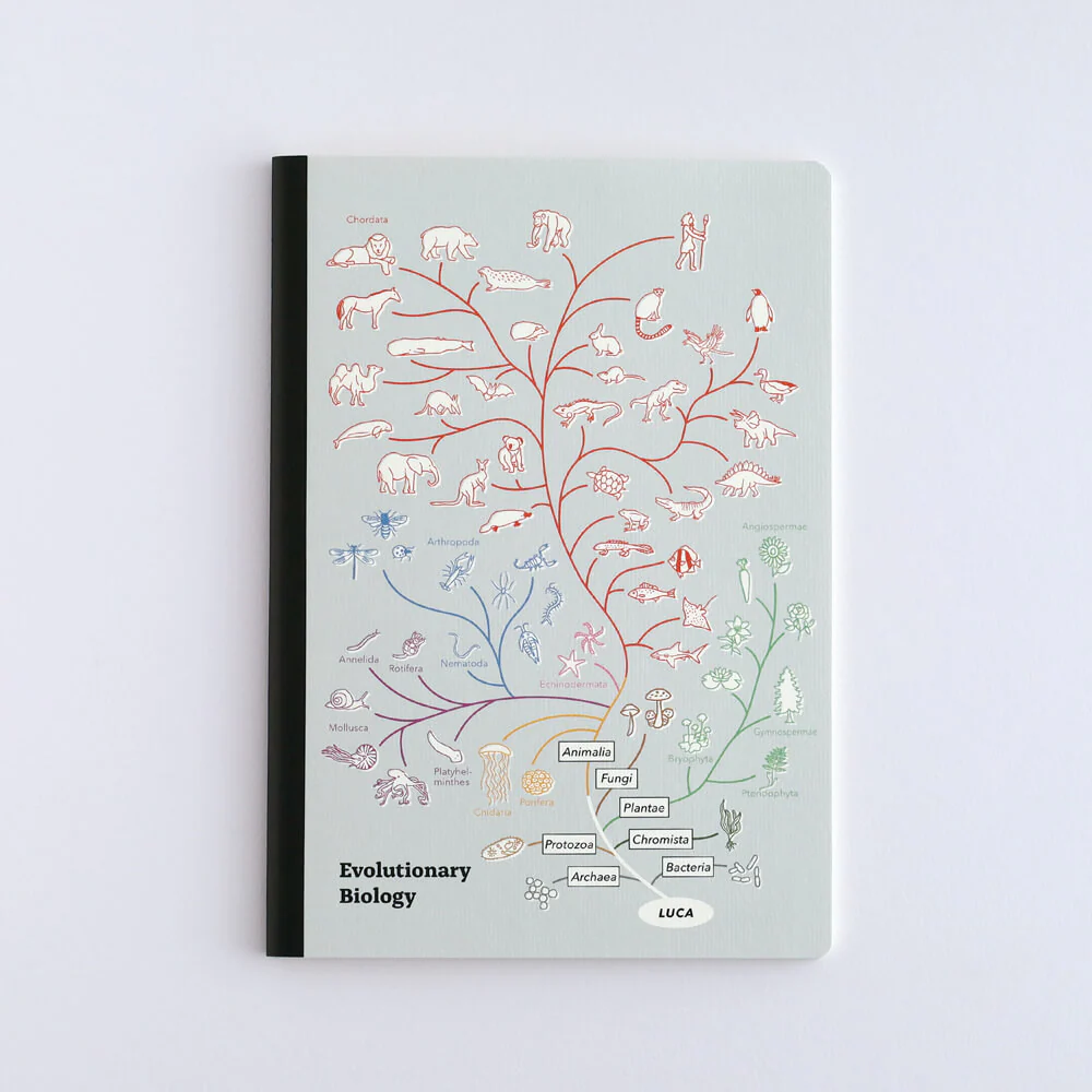 Notatnik Study Holic A5 | Biologia ewolucyjna