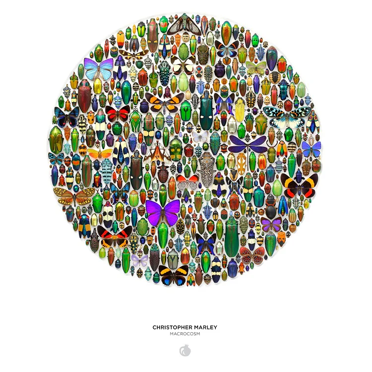 Puzzle 500 | Makrokosmos - Image 3