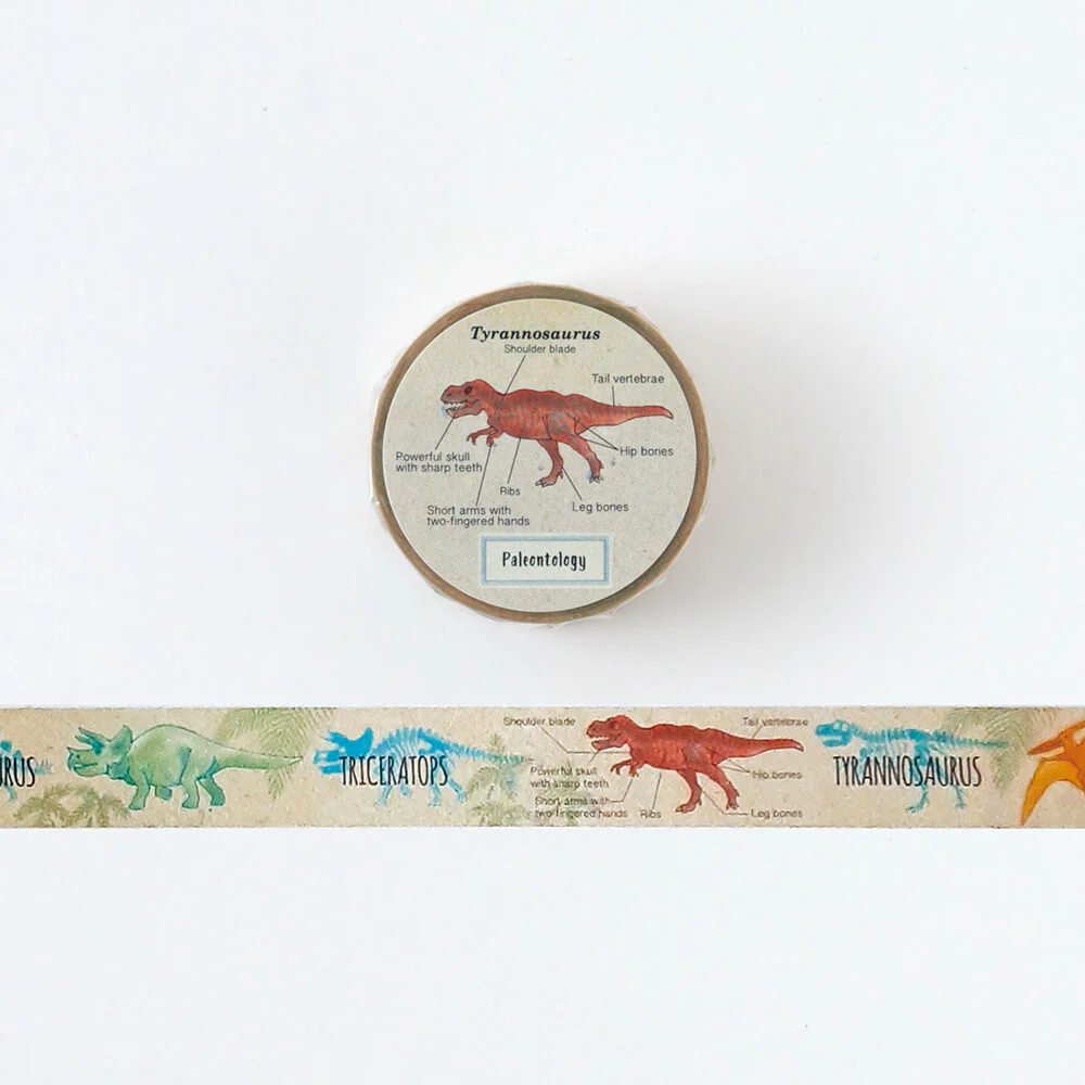 Taśma dekoracyjna Study Holic | Paleontologia
