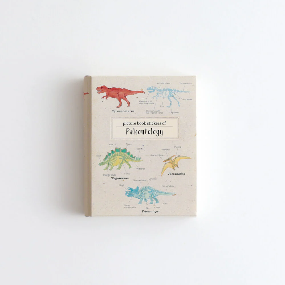 Zestaw naklejek Study Holic | Paleontologia